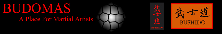 Budomas Banner
